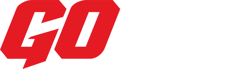 GOMAX BATTERY